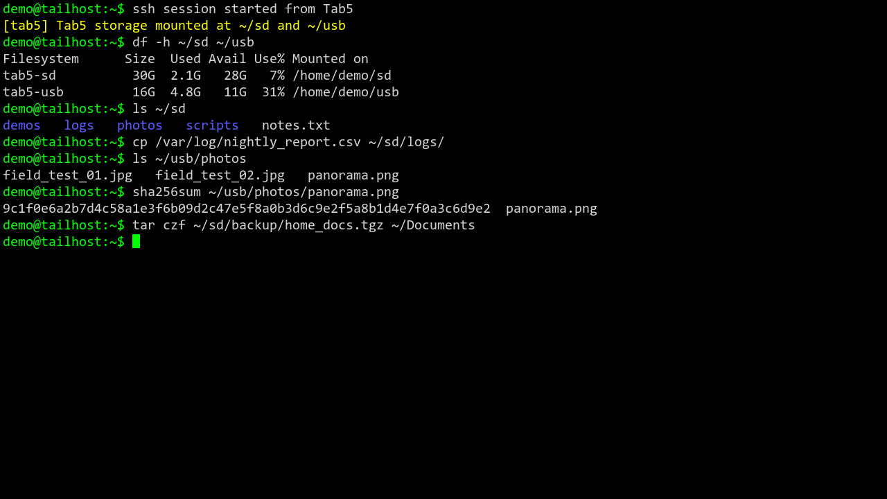 サーバ側シェルでdf -hにtab5-sdとtab5-usbが表示され、~/sdへcpやtarで書き込んでいる画面