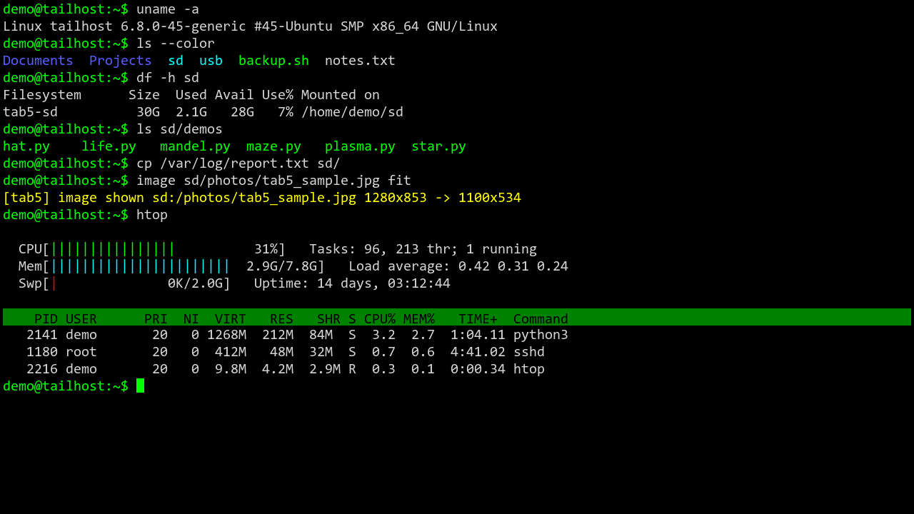 SSH接続中のフルスクリーンターミナル。ls --colorやdf、htopの出力が色付きで表示されている